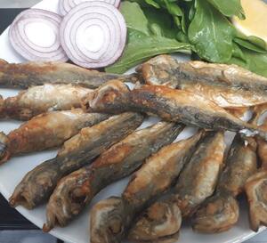 bahcesehir balik evi bahcesehir merkez istanbul